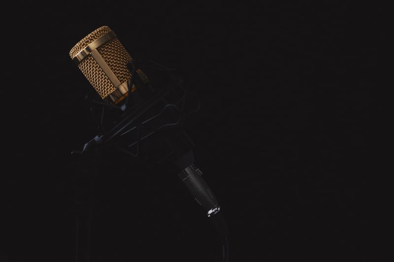 Microphone for Interviews